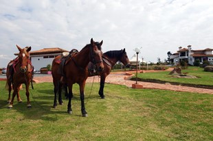 Hotel Boutique Caney - Boyacá, Colombia - image - 12