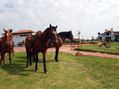 Hotel Boutique Caney - Boyacá, Colombia - image - 12
