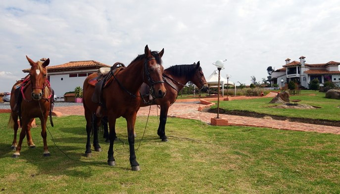Cabalgatas - Hotel Boutique Caney - Boyacá, Colombia - image - 3