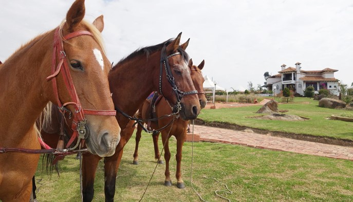Cabalgatas - Hotel Boutique Caney - Boyacá, Colombia - image - 2