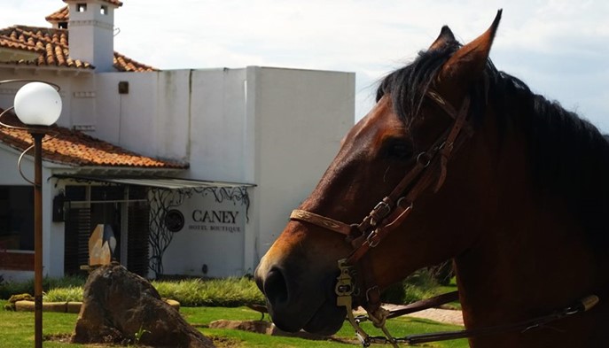 Cabalgatas - Hotel Boutique Caney - Boyacá, Colombia - image - 5
