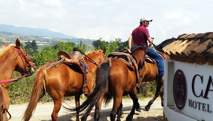 Cabalgatas - Hotel Boutique Caney - Boyacá, Colombia - image - 4